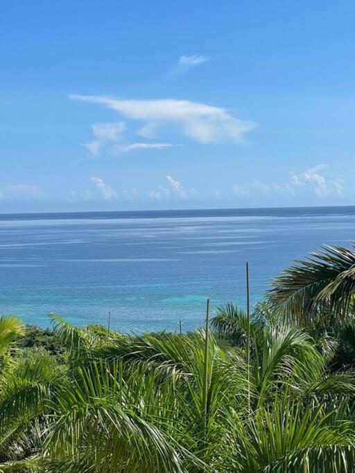 Spring Garden Mobay Resort Luxurious Apartments มอนเทโกเบย์ ภายนอก รูปภาพ